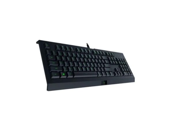 TECLADO GAMER RAZER CYNOSA LITE - RZ0302740700R3U - Imagem 2